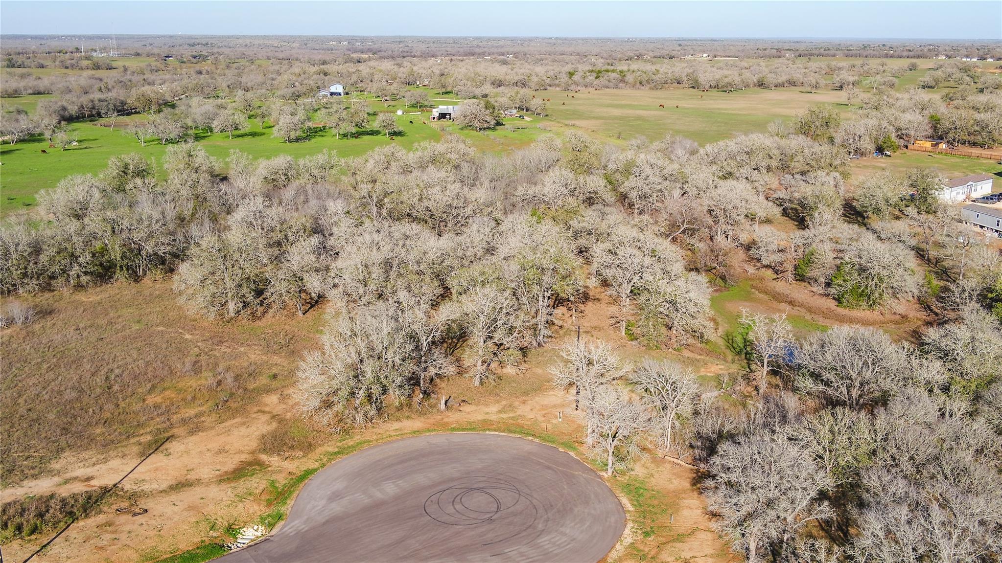 199 AZALEA Ct, Dale, TX 78616 — photo 1