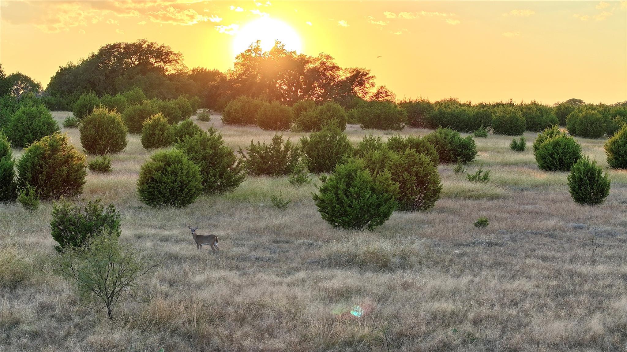 Lot 1 Bluestem, Lampasas, TX 76550 — photo 1