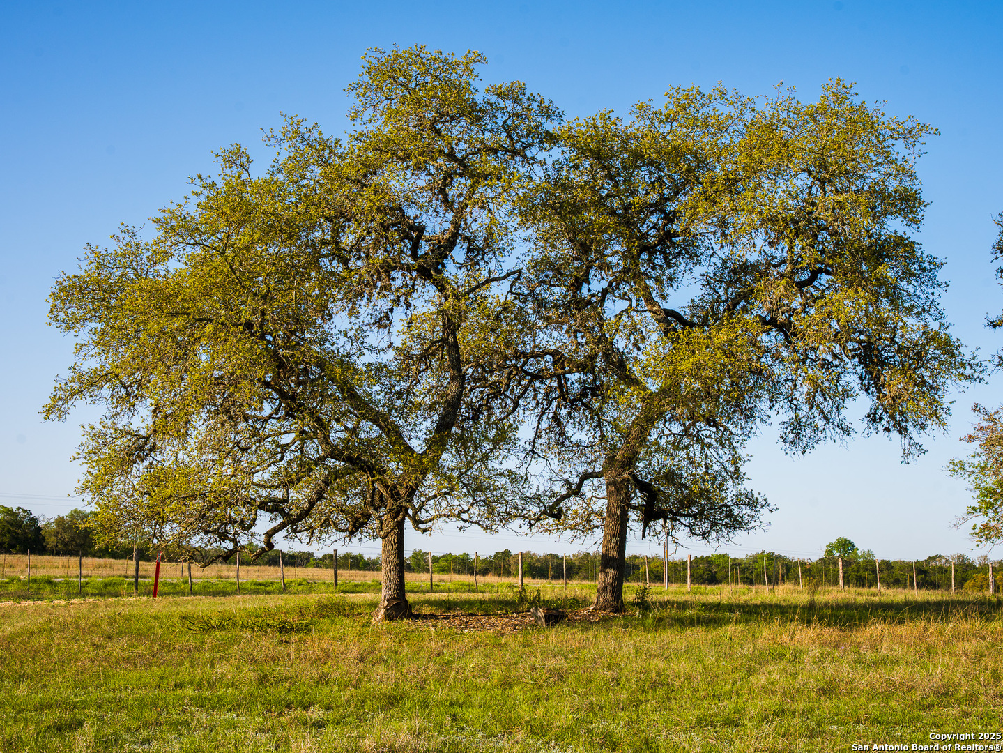 LOT20 Oak Mott Rd, ,  78013 — photo 1