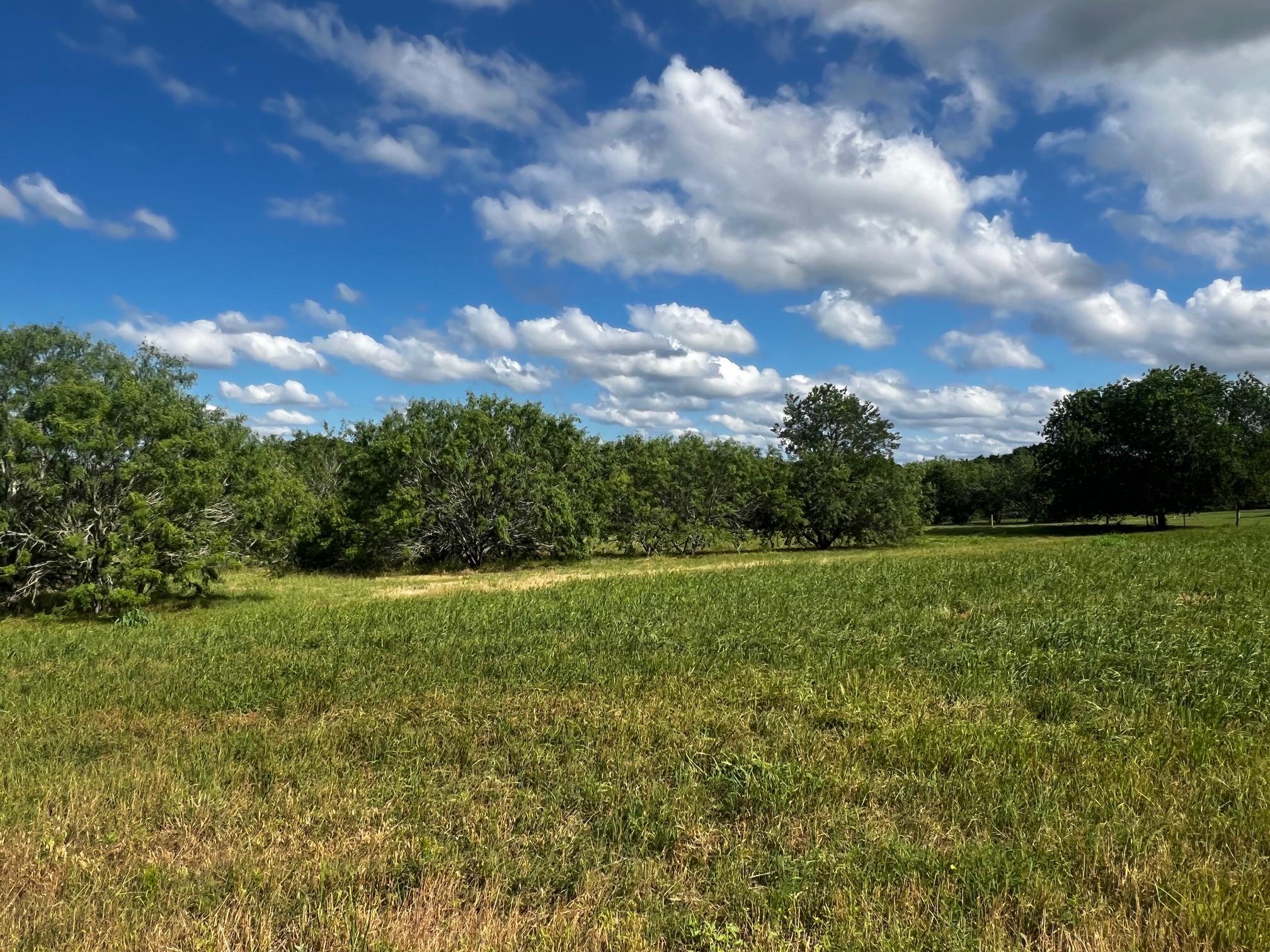Lot 5 High Meadow Court East None, Schulenburg, TX 78956 — photo 1