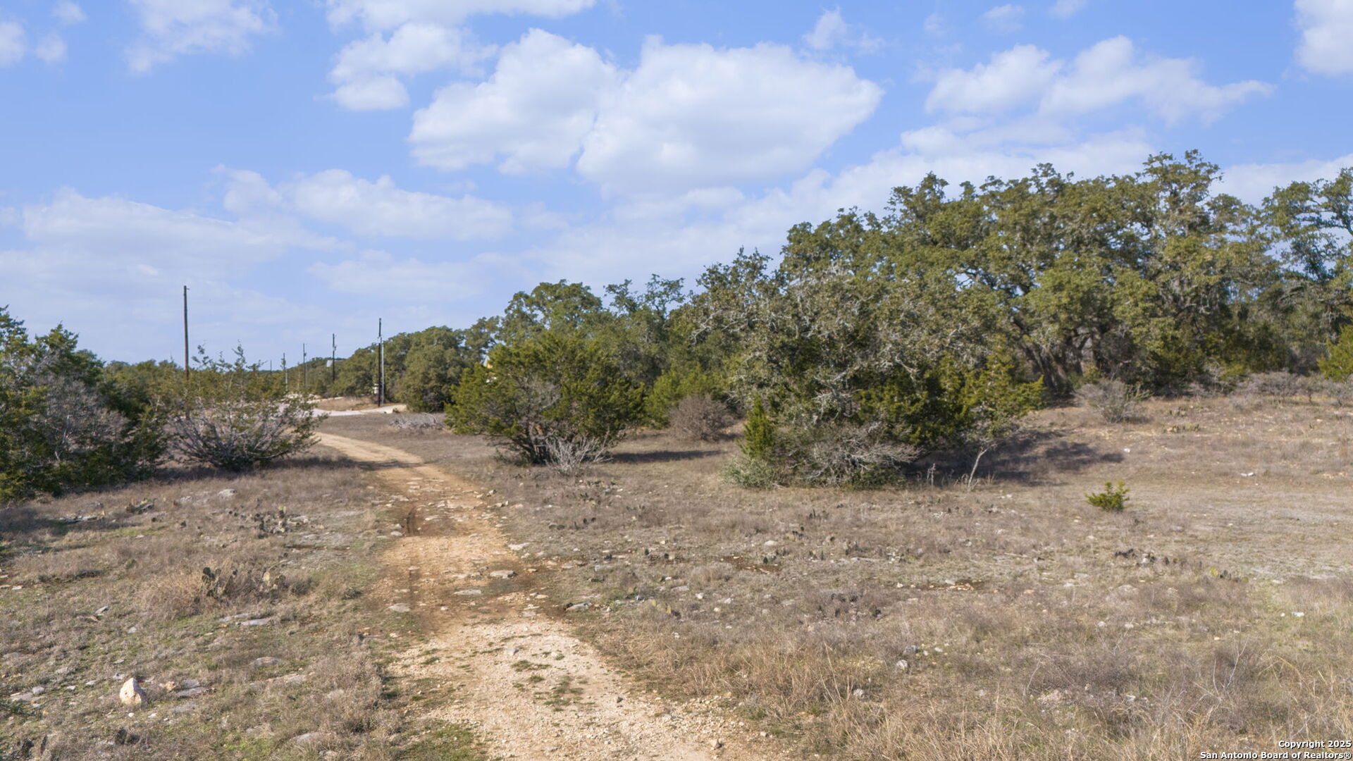 105 JOSEPH LILLEY, Blanco, TX 78606 — photo 1