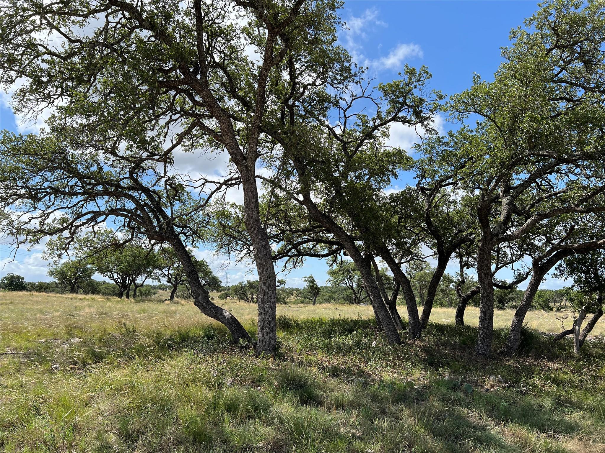 Lot 80 Seven Springs, Junction, TX 78649 — photo 1
