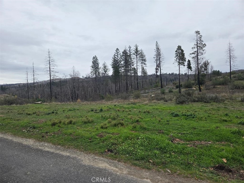 259 Rockerfeller Road, Berry Creek, CA 95916 — photo 1