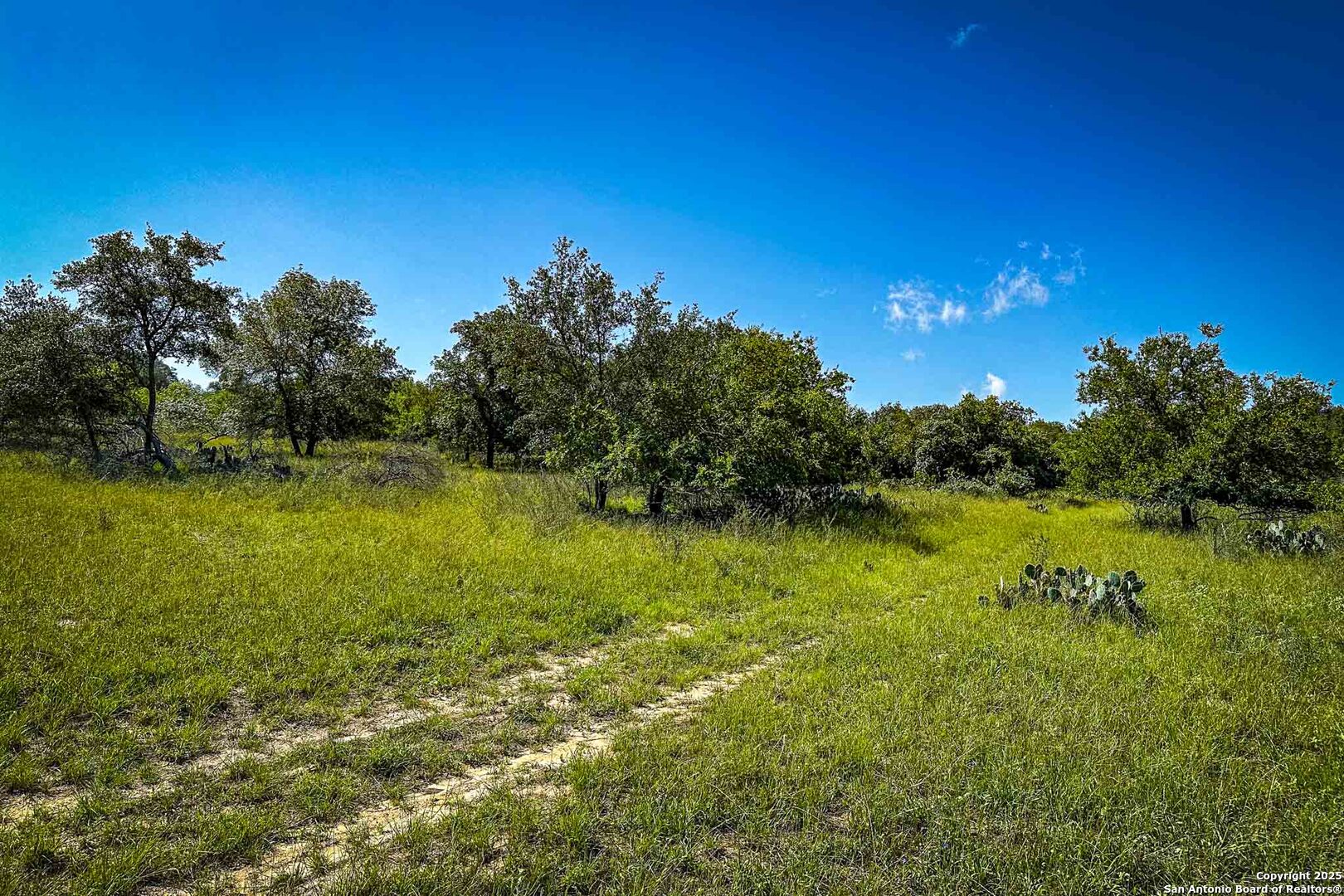 000 Fm 1303, , 78114 — photo 1