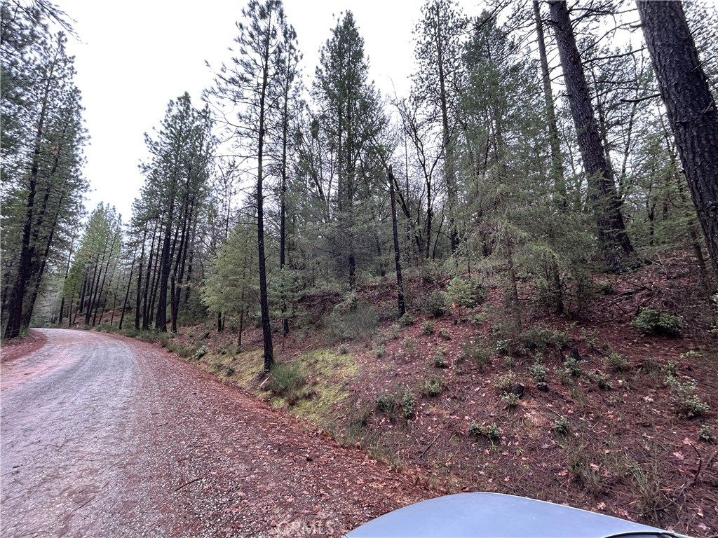 14550 Grizzly Hill