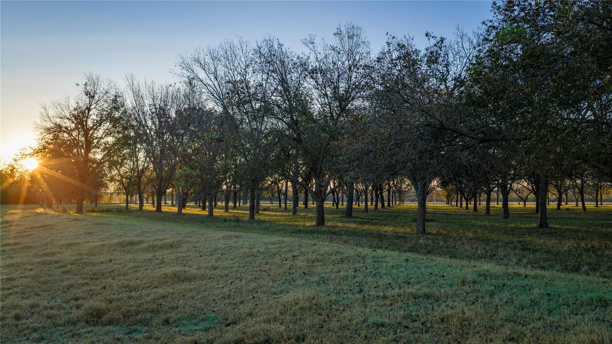 8323 State Highway 29, Georgetown, TX 78626 — photo 1