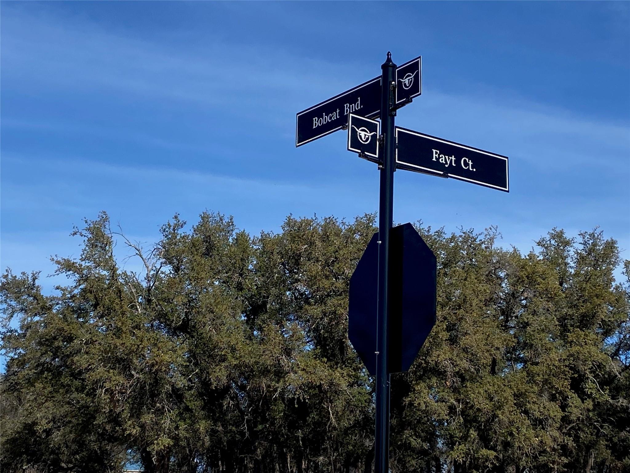101 Fayt, Georgetown, TX 78628 — photo 1