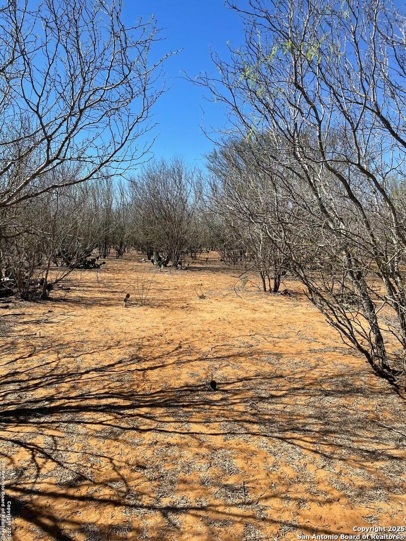 1010 Cr 308A, ,  78026 — photo 1
