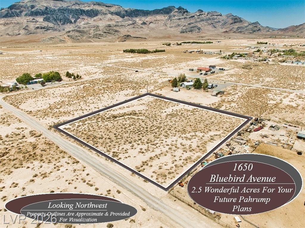 1650 West Bluebird Avenue, Pahrump, NV 89060 — photo 1