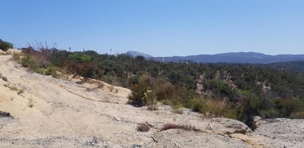 Montiel Truck Trail