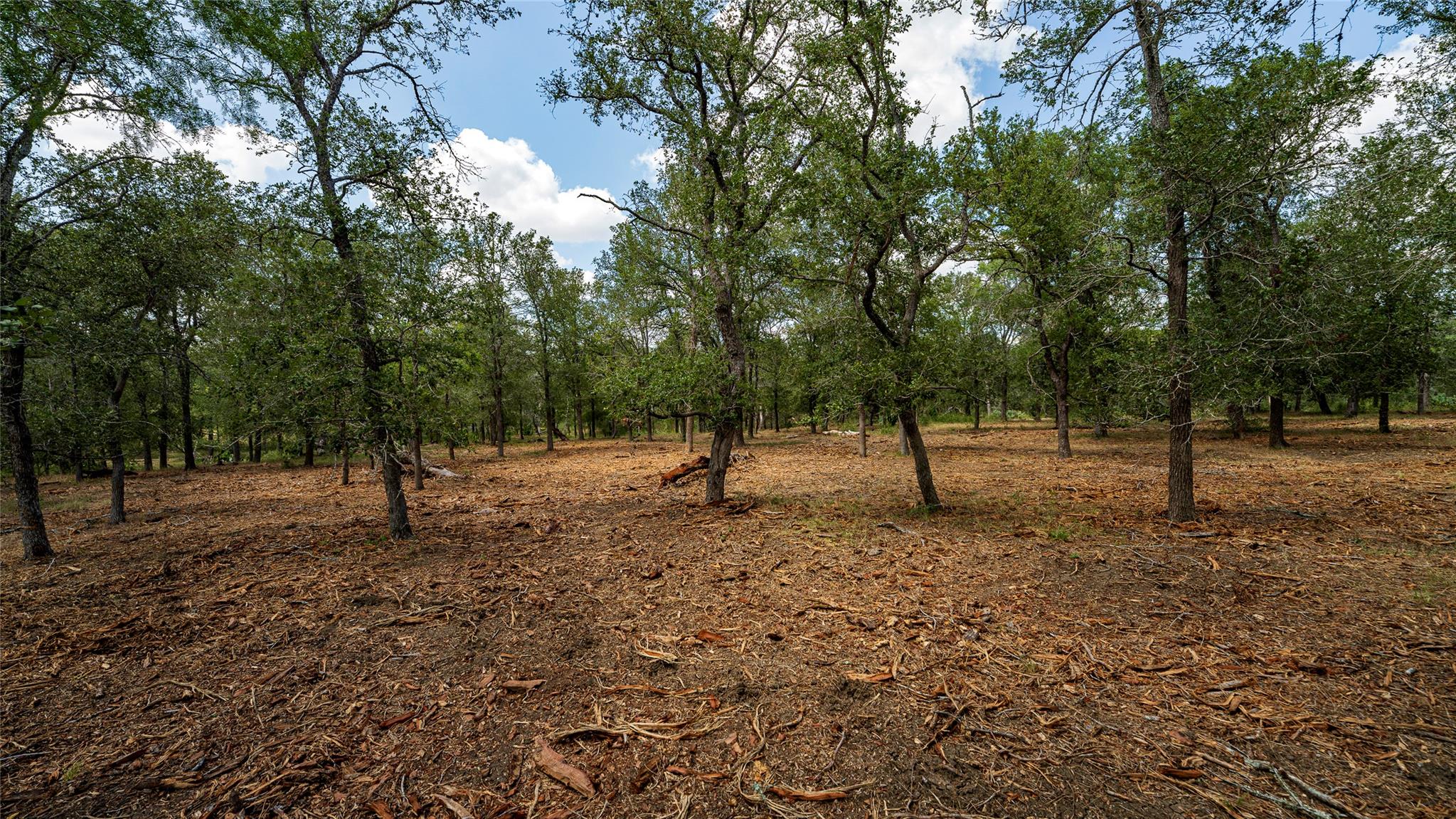3980 (Tract 5) Fm 3158, Dale, TX 78616 — photo 1