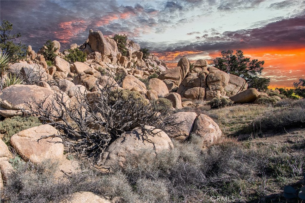 6274 Omega, Yucca Valley, CA 92284 — photo 1