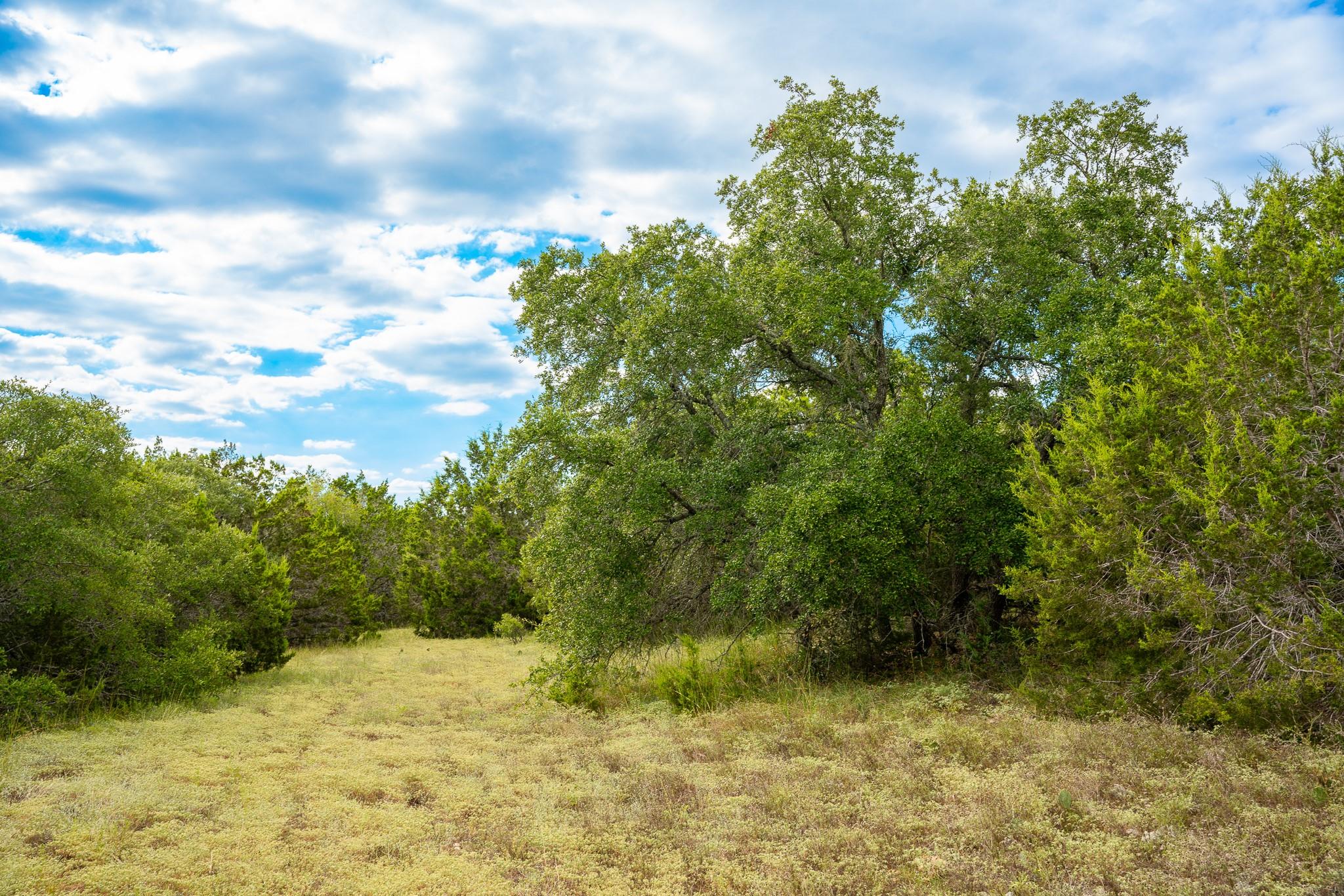 31171 Ranch Road 12, Dripping Springs, TX 78620 — photo 1