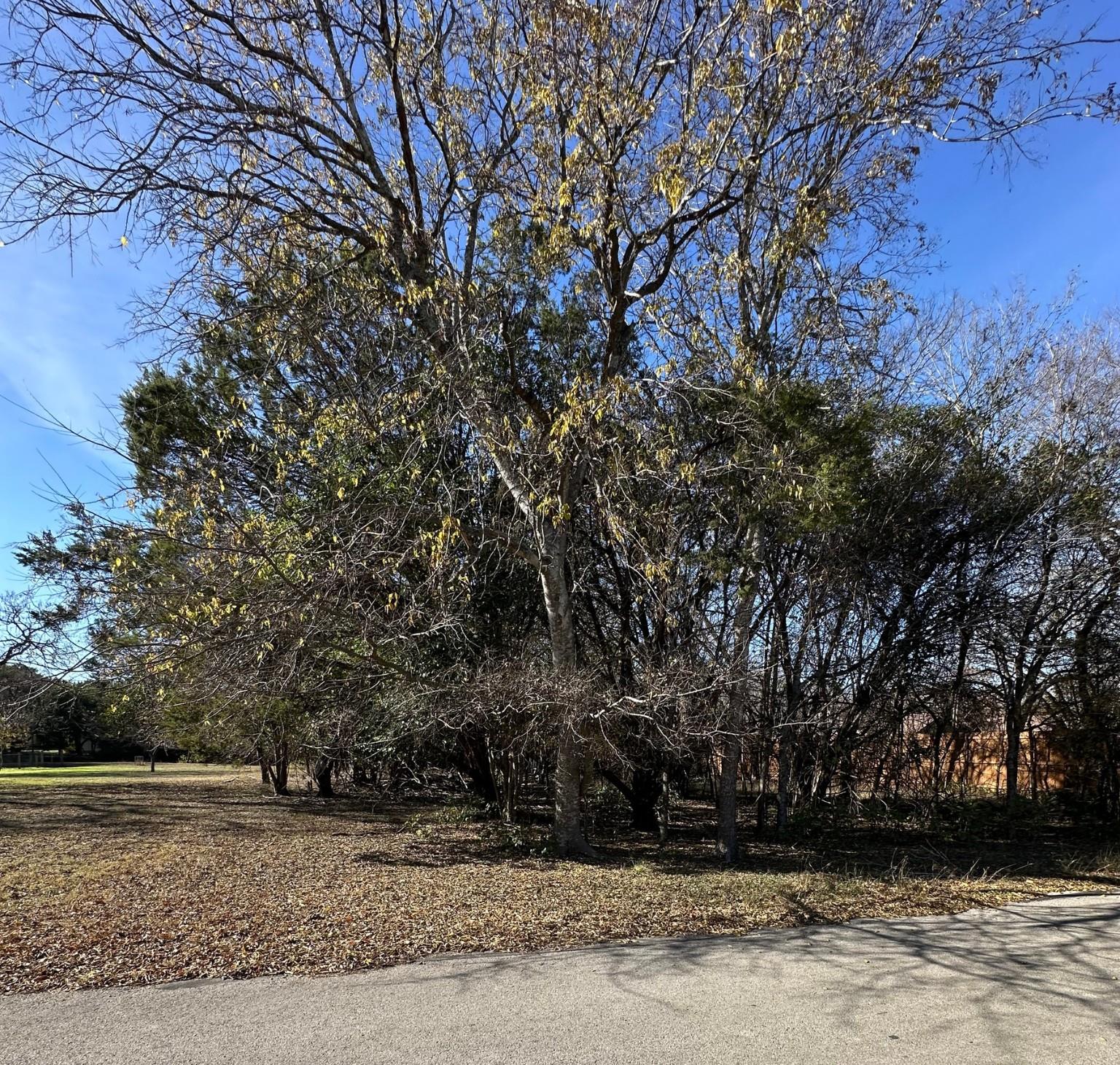 11302 Circle, Austin, TX 78748 — photo 1