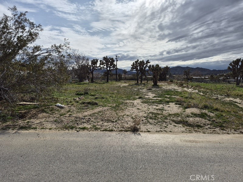 0 Cassia Drive, Yucca Valley, CA 92284 — photo 1