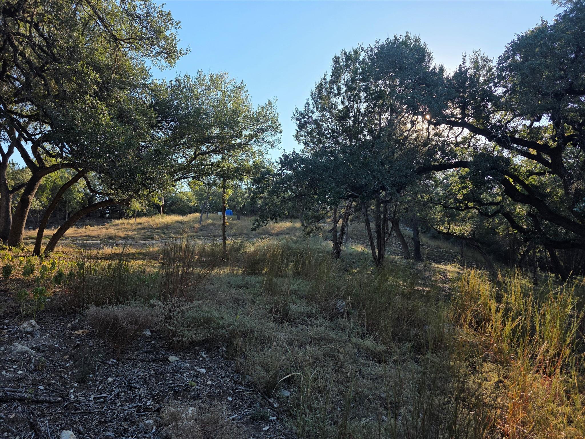 201 Sycamore Valley, Dripping Springs, TX 78620 — photo 1