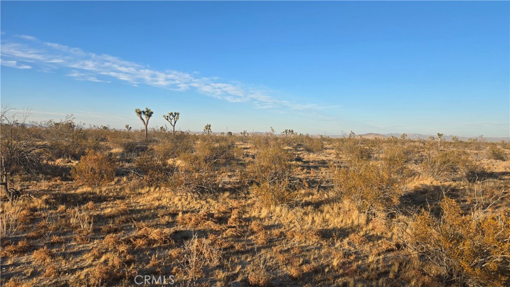 0 Avenue U4 & 257th St E, Llano, CA 93544 — photo 1