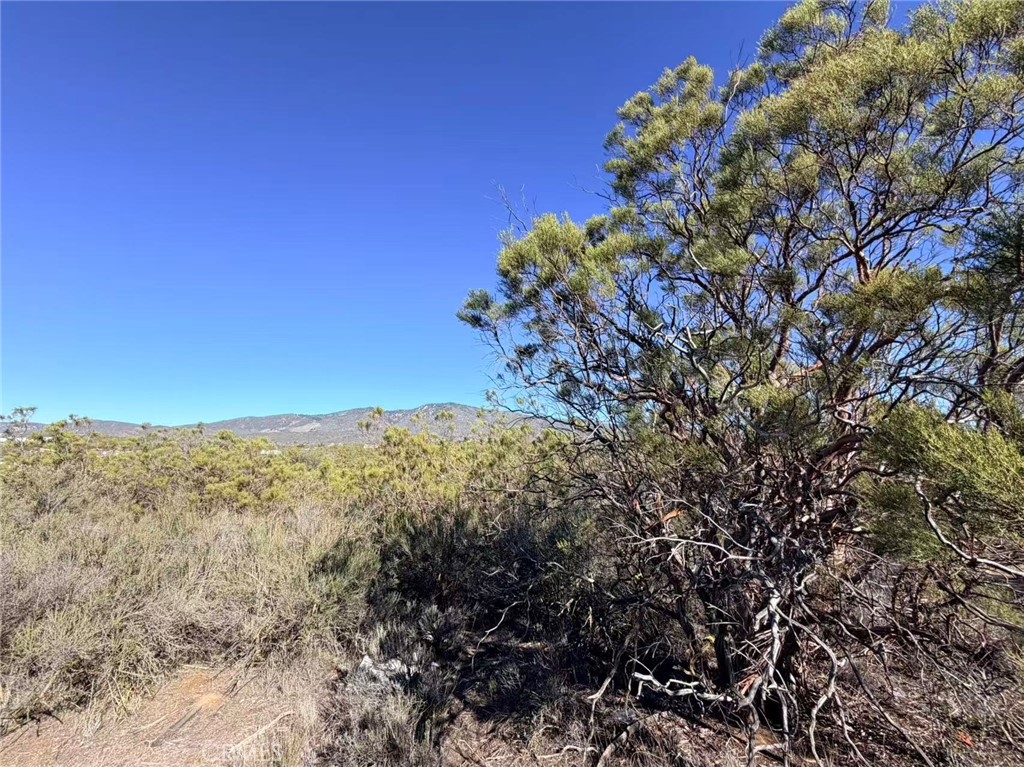 0 Glenda, Anza, CA 92539 — photo 1