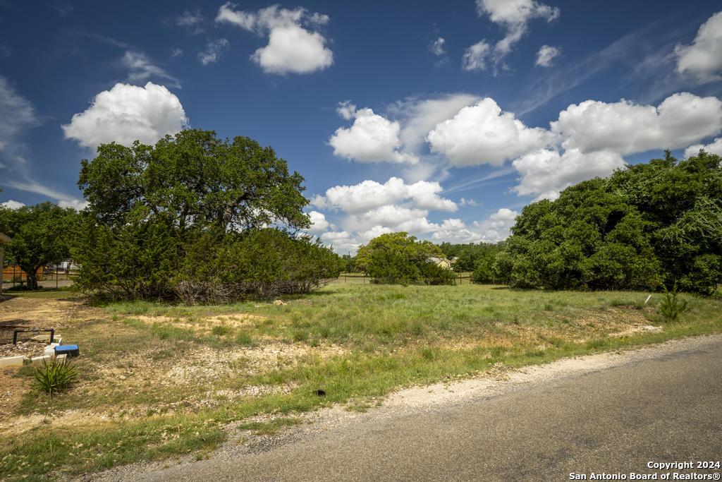 126 Frank Jones, Blanco, TX 78606 — photo 1