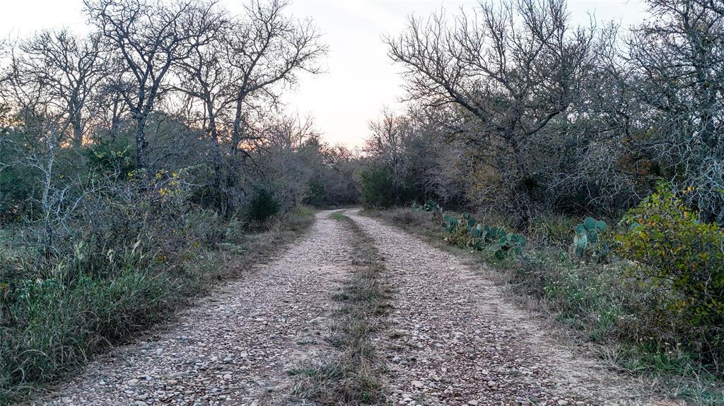 137 Shady Oaks, Cedar Creek, TX 78612 — photo 1