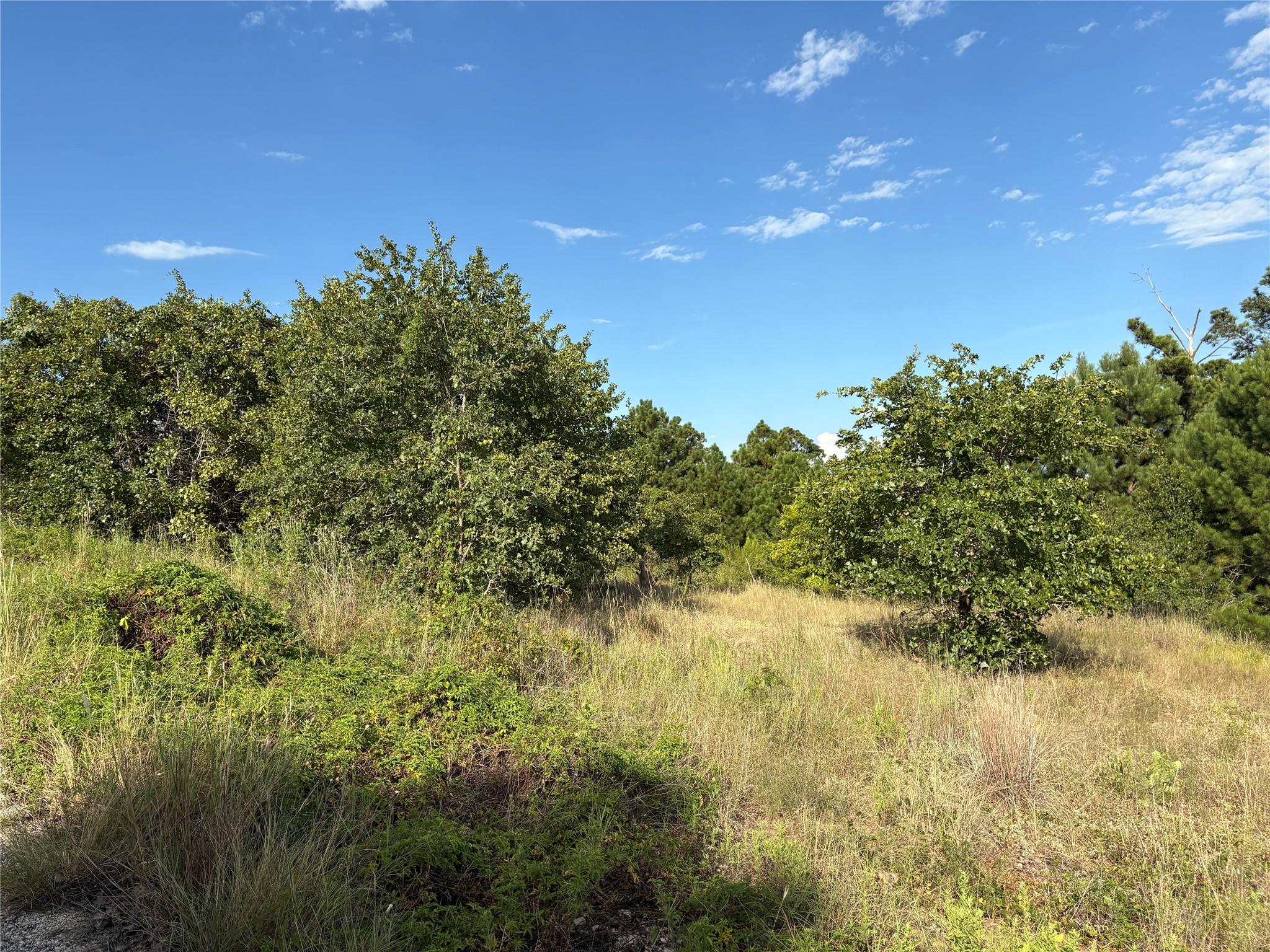 TBD Kimo, Bastrop, TX 78602 — photo 1
