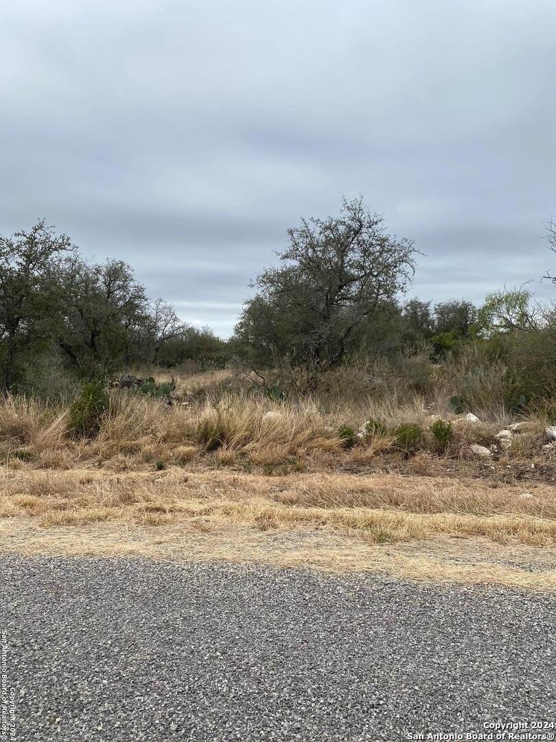 343 LEGEND HILLS RD, ,  78801 — photo 1