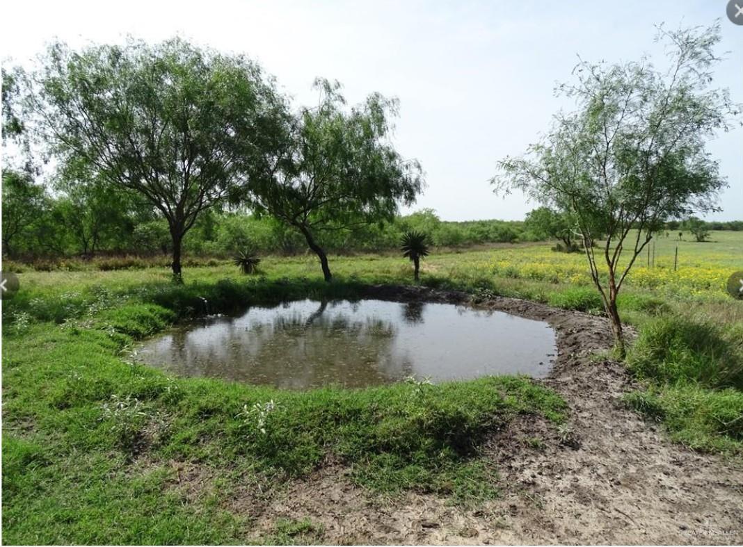 FM 2294 FM 2294, San Isidro, TX 78588 — photo 1