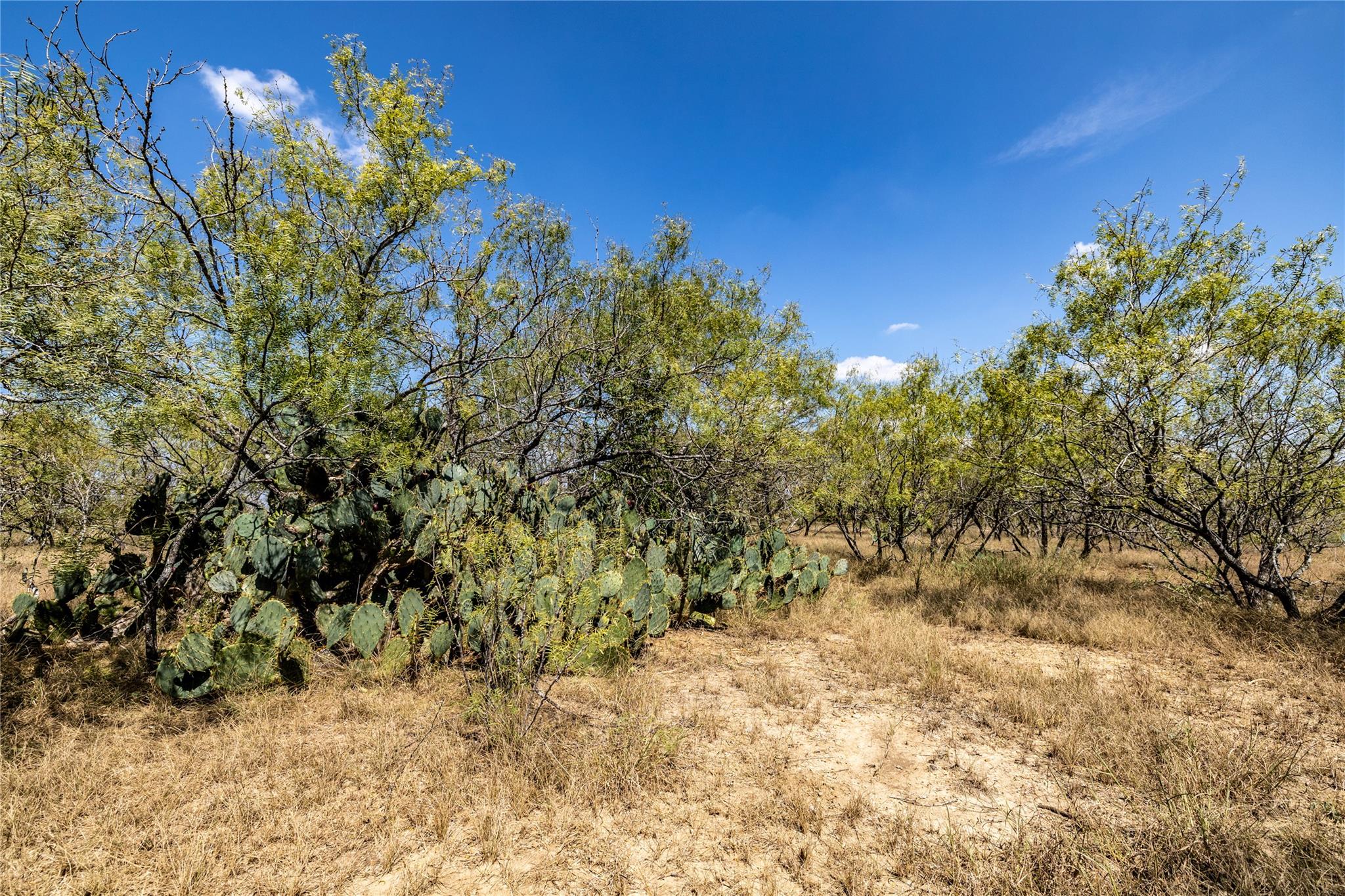 TBD Lot 2 Track, Dale, TX 78616 — photo 1