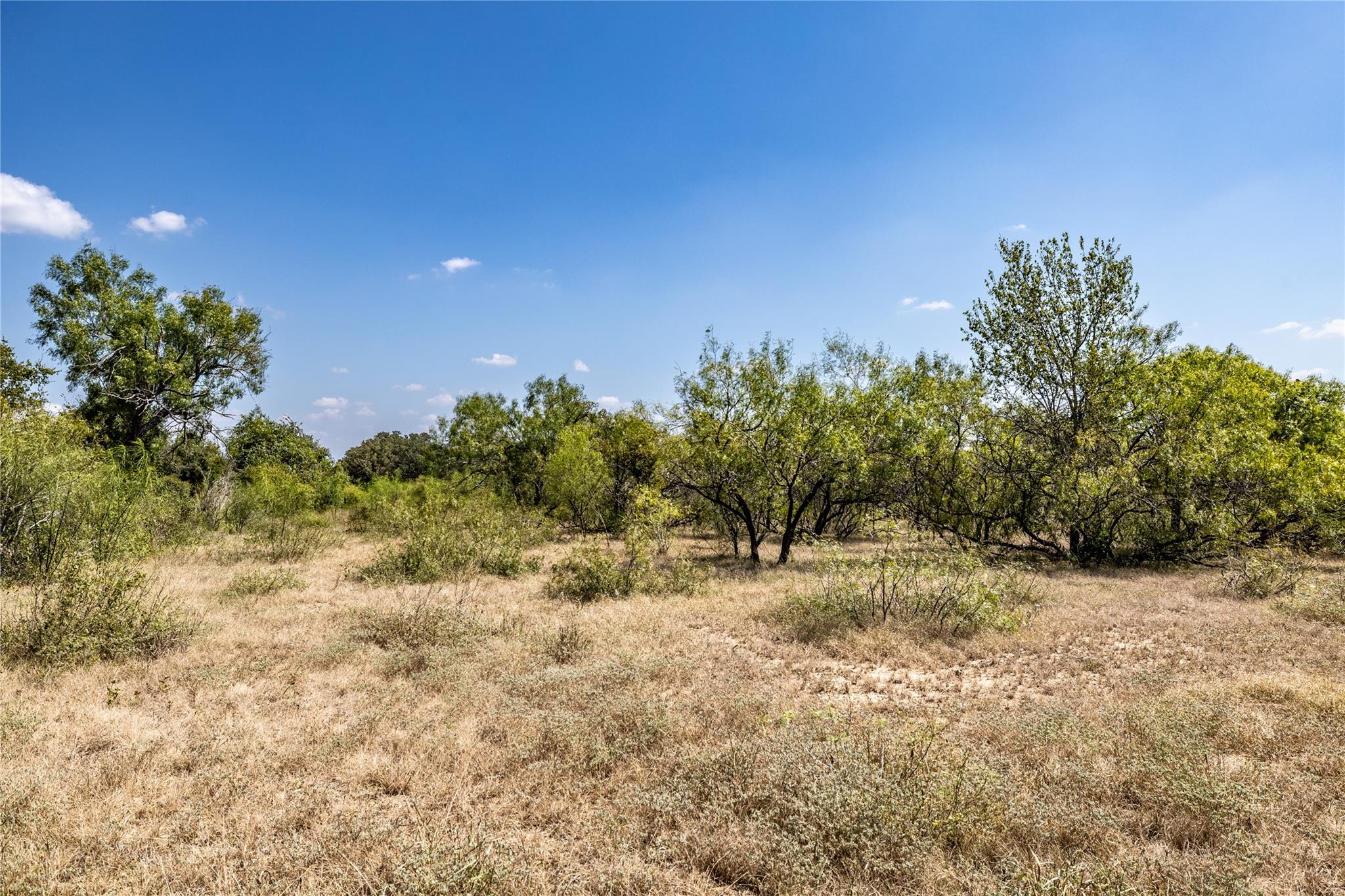 TBD Lot 3 Track, Dale, TX 78616 — photo 1