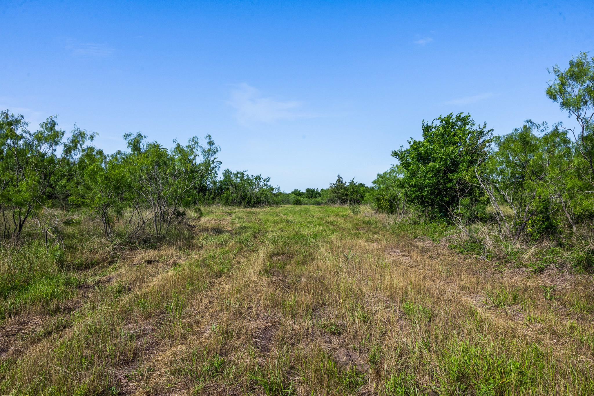 Tract 2 TBD LCR 392, Groesbeck, TX 76642 — photo 1