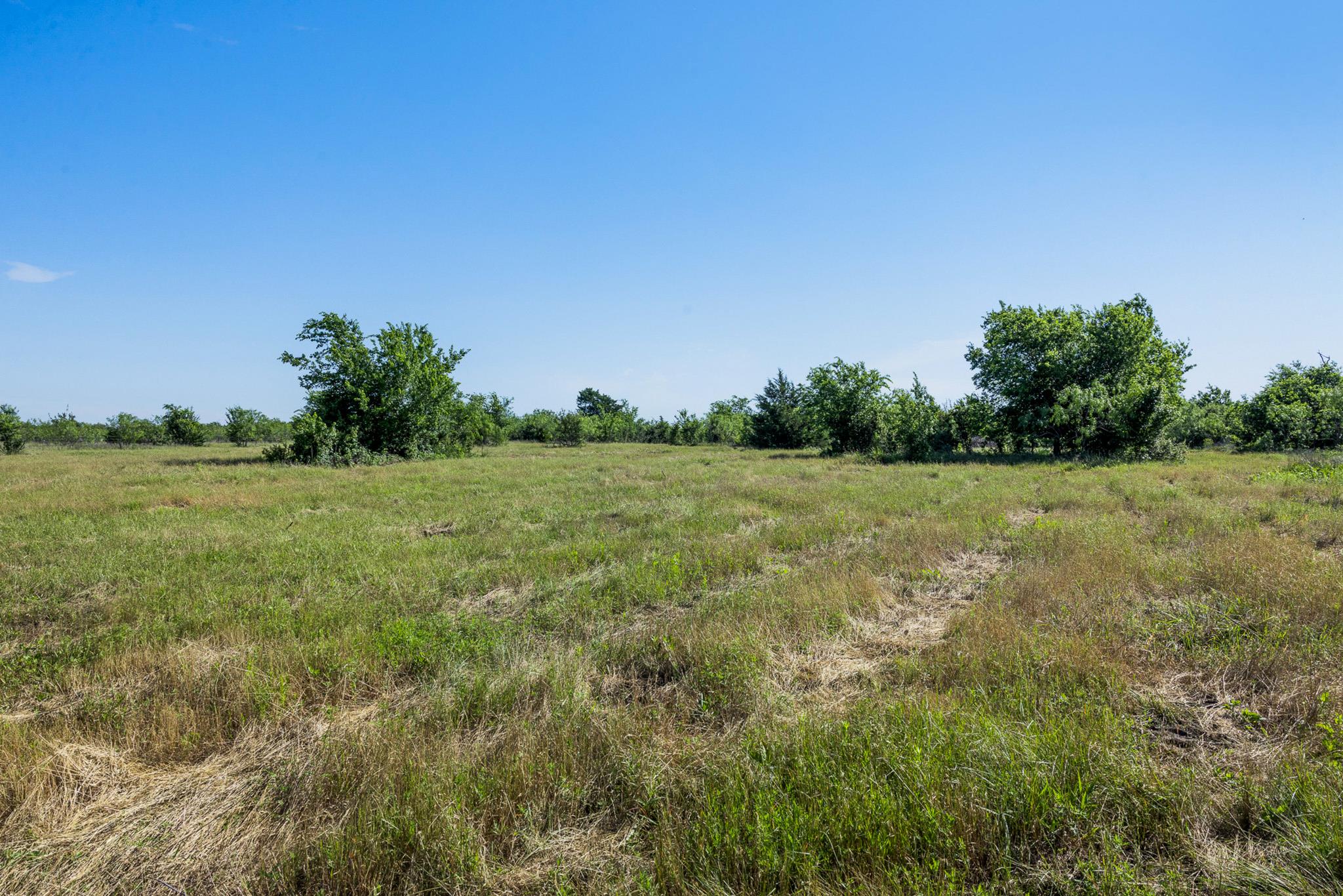 Tract 1 TBD LCR 392, Groesbeck, TX 76642 — photo 1