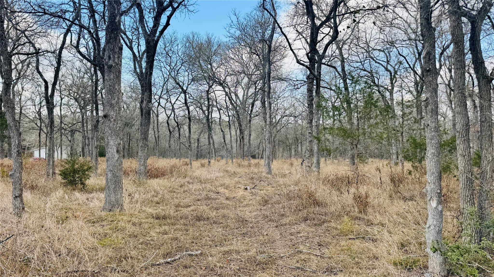 208 Sendero, Cedar Creek, TX 78612 — photo 1