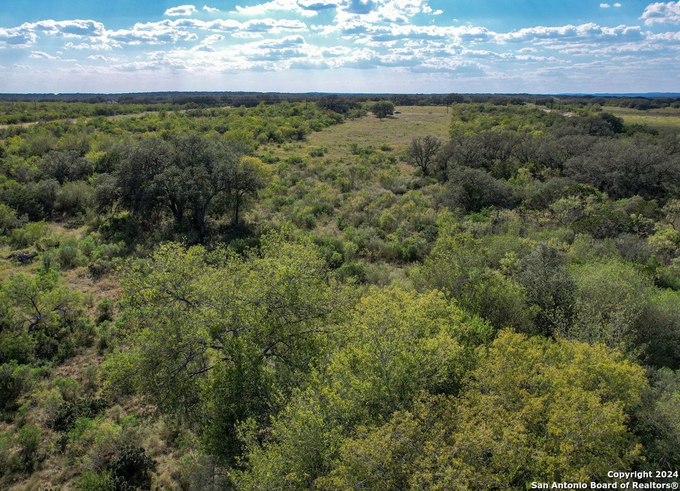 00 Utopia Forest, ,  78850 — photo 1