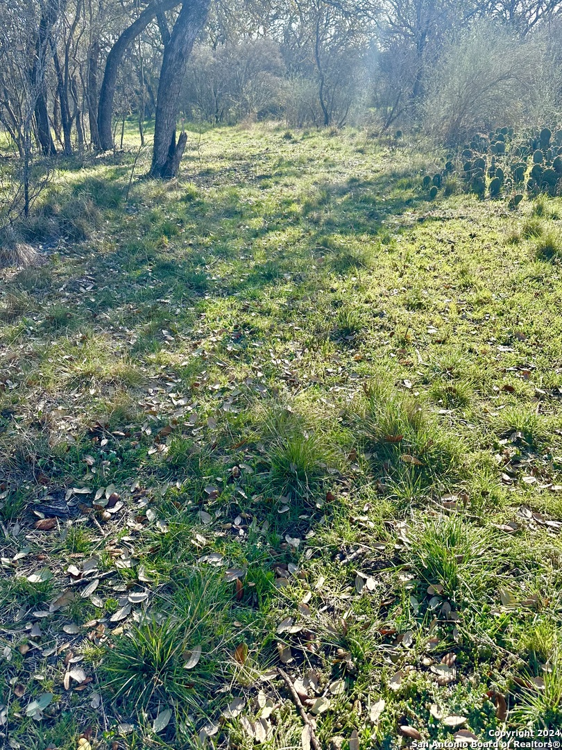 3 Utopia Forest, ,  78850 — photo 1