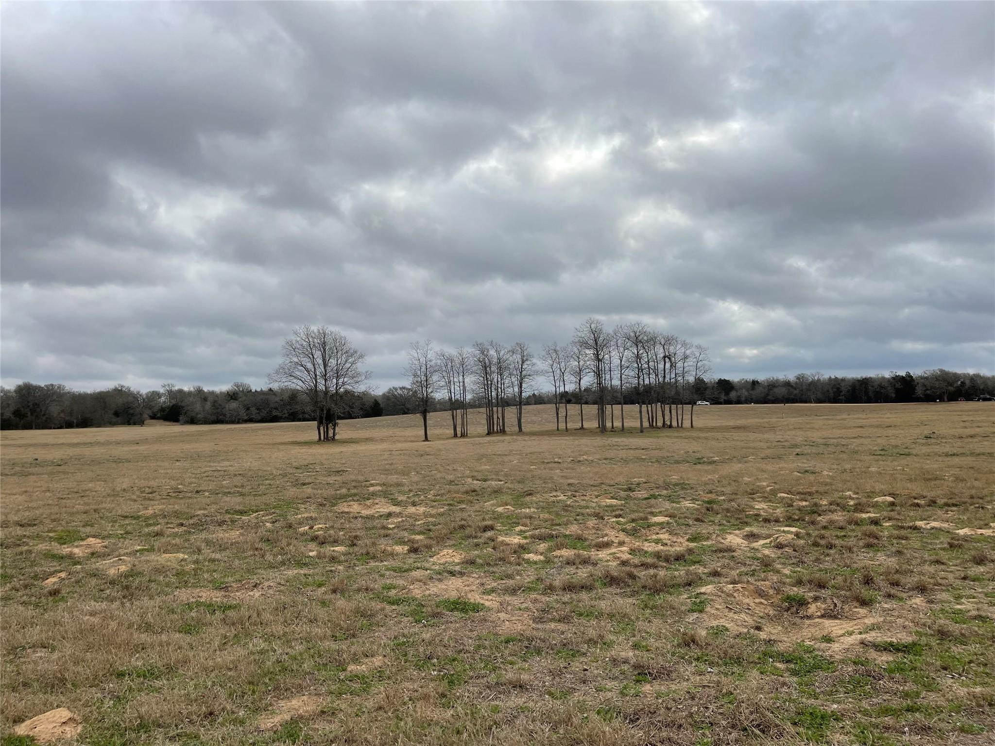 1498 Walleye Creek, Lexington, TX 78947 — photo 1