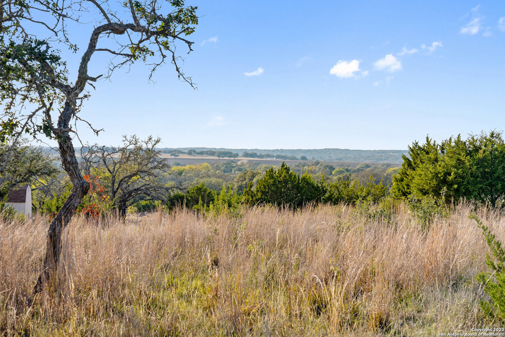 LOT 91 Axis Cir, ,  78624 — photo 1