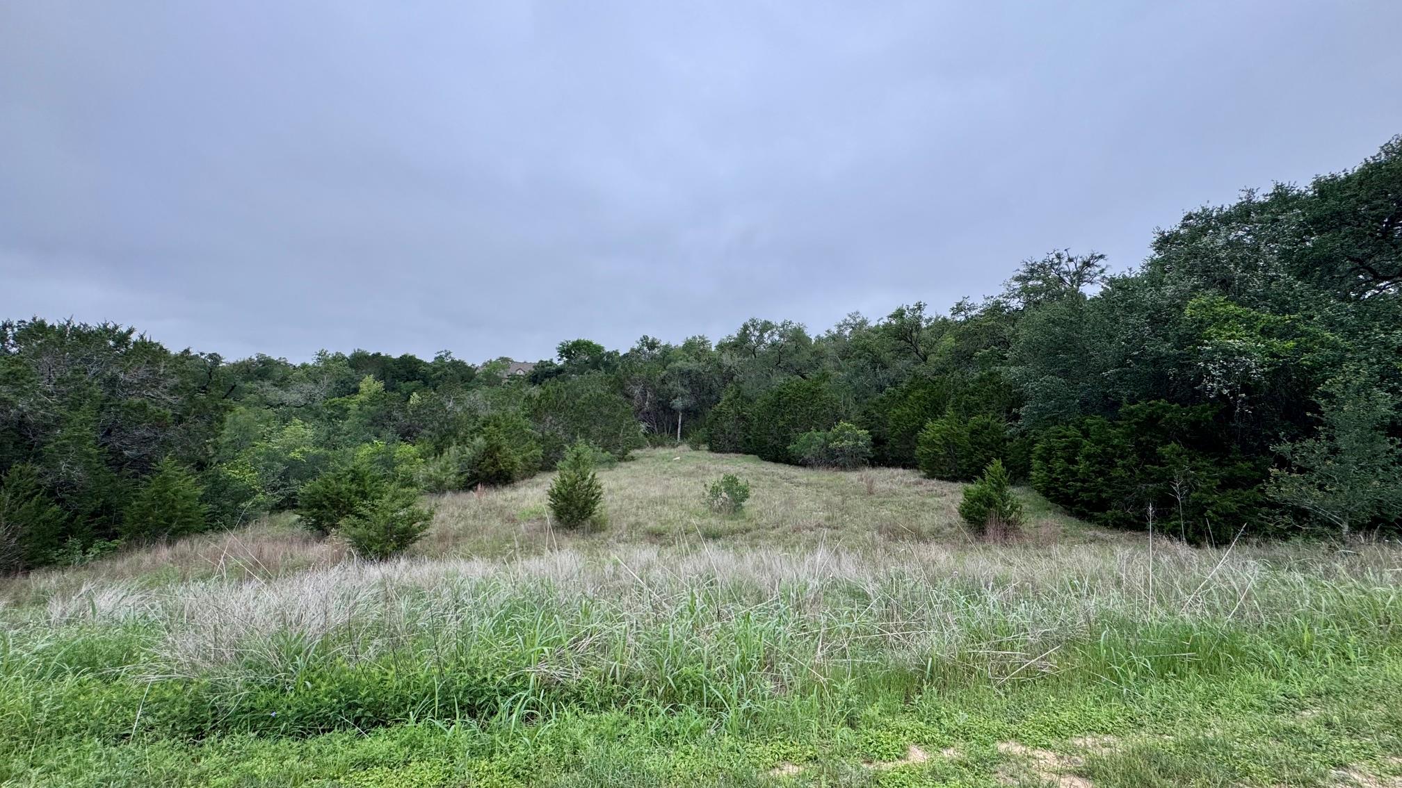 673 Yorks, Driftwood, TX 78619 — photo 1