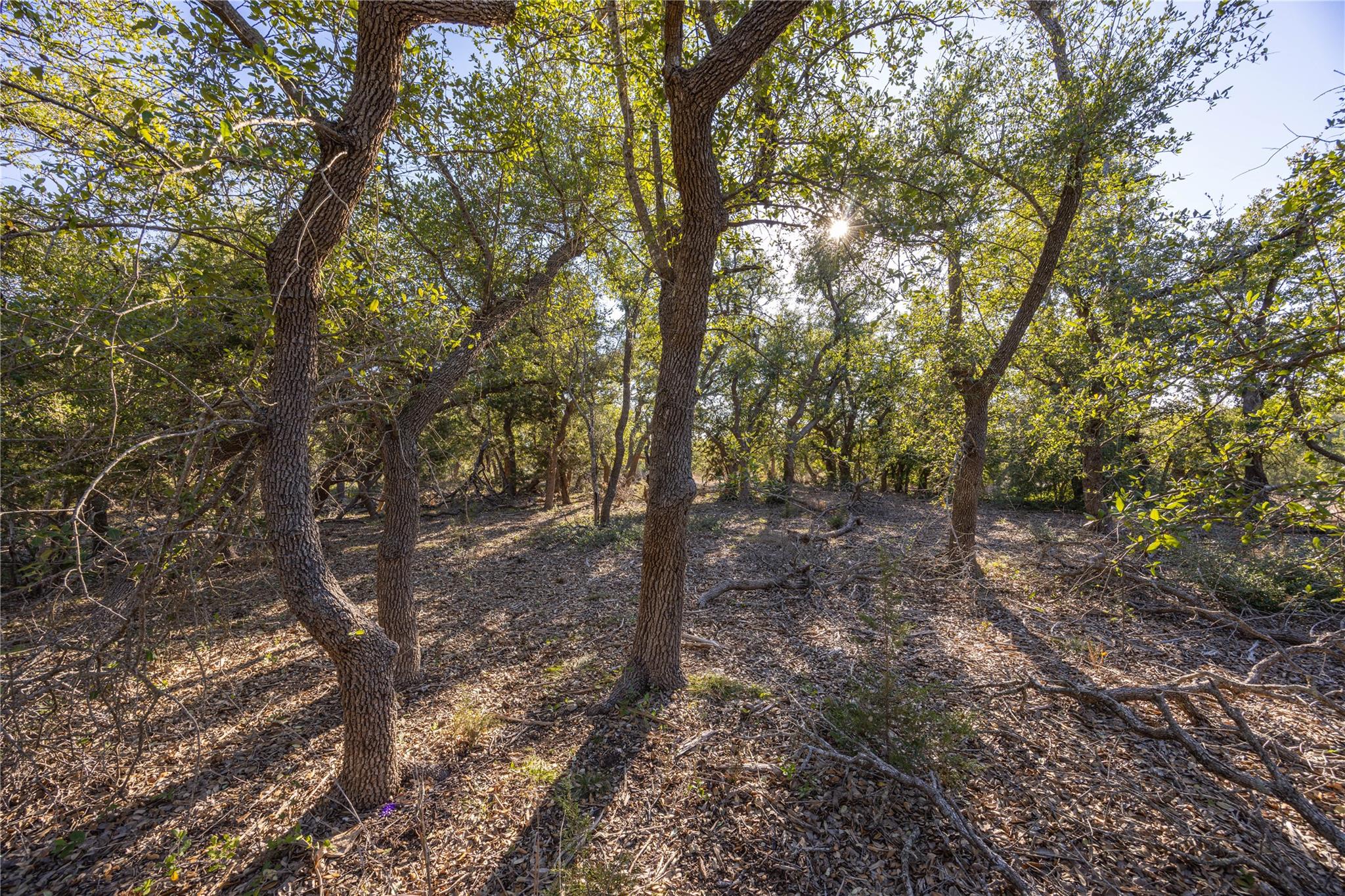130 Panorama, Wimberley, TX 78676 — photo 1