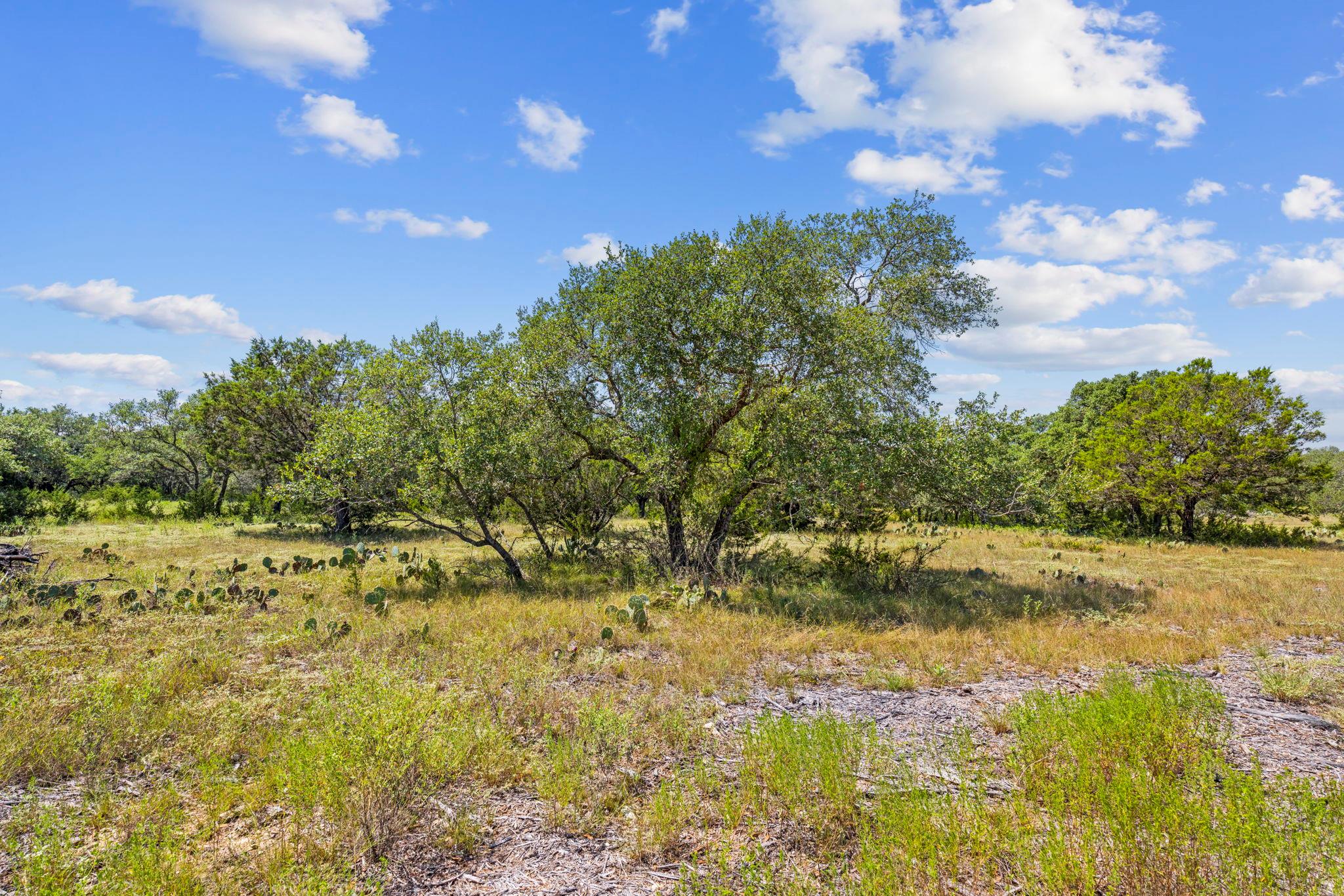 Lot 170 Heartleaf, Lampasas, TX 76550 — photo 1