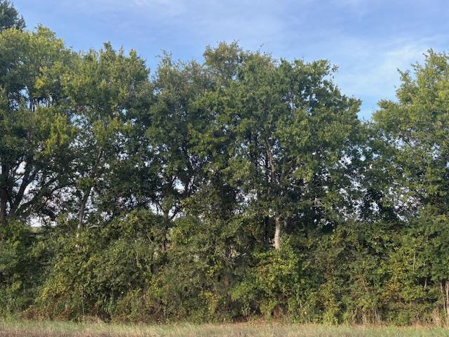 1447 FM 713, Lockhart, TX 78644 — photo 1