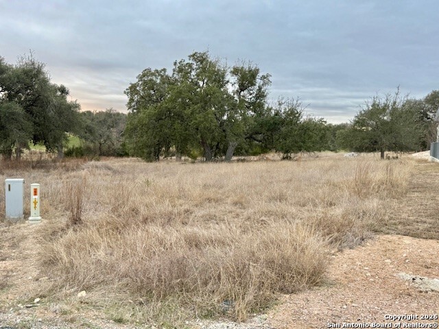 102 Savannah Ct, , 78606 — photo 1