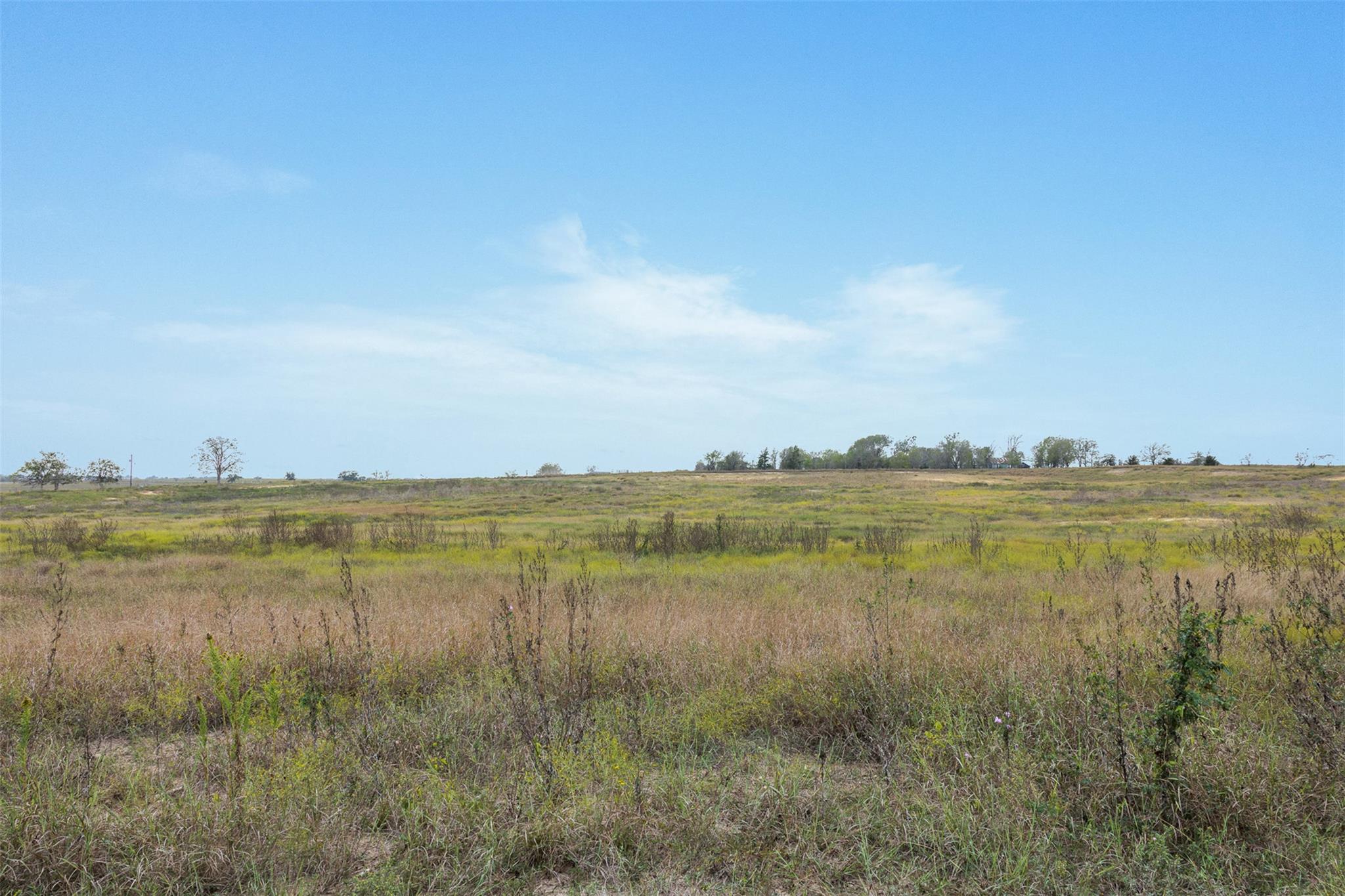 Lot 1 County Road 335