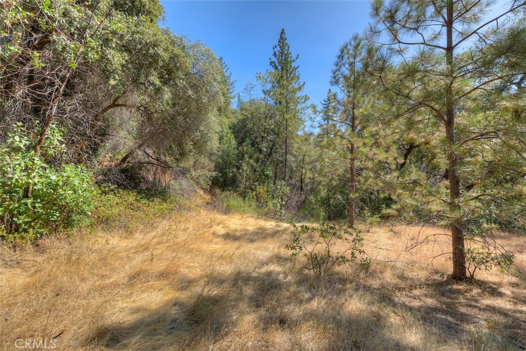 8700 Oro Quincy, Berry Creek, CA 95916 — photo 1