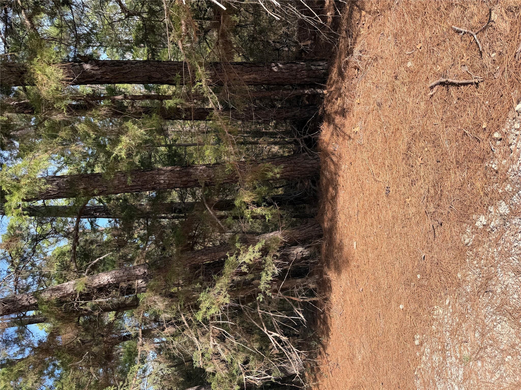 Lot 266 Wainee Dr, Bastrop, TX 78602 — photo 1