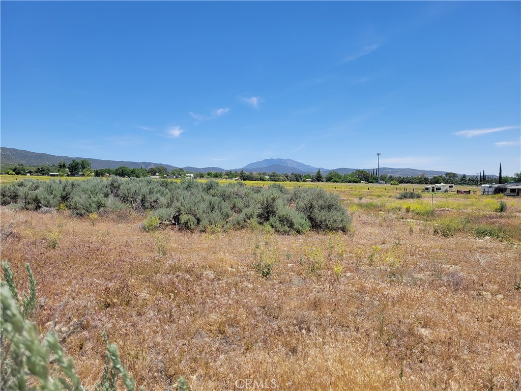 49 Bonita Vista, Anza, CA 92539 — photo 1