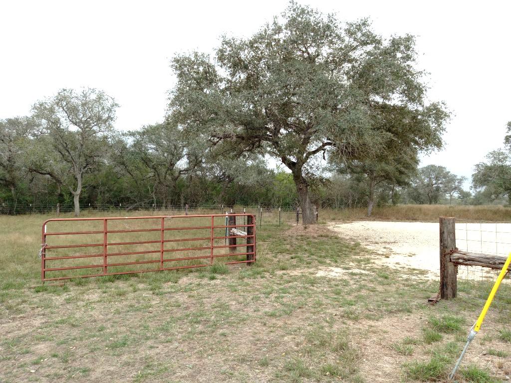 251  Lefty Lane Ln, Goliad, TX 77963 — photo 1