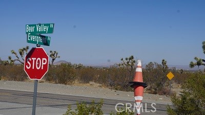 0 BEAR VALLEY Road, Pinon Hills, CA 92372 — photo 1