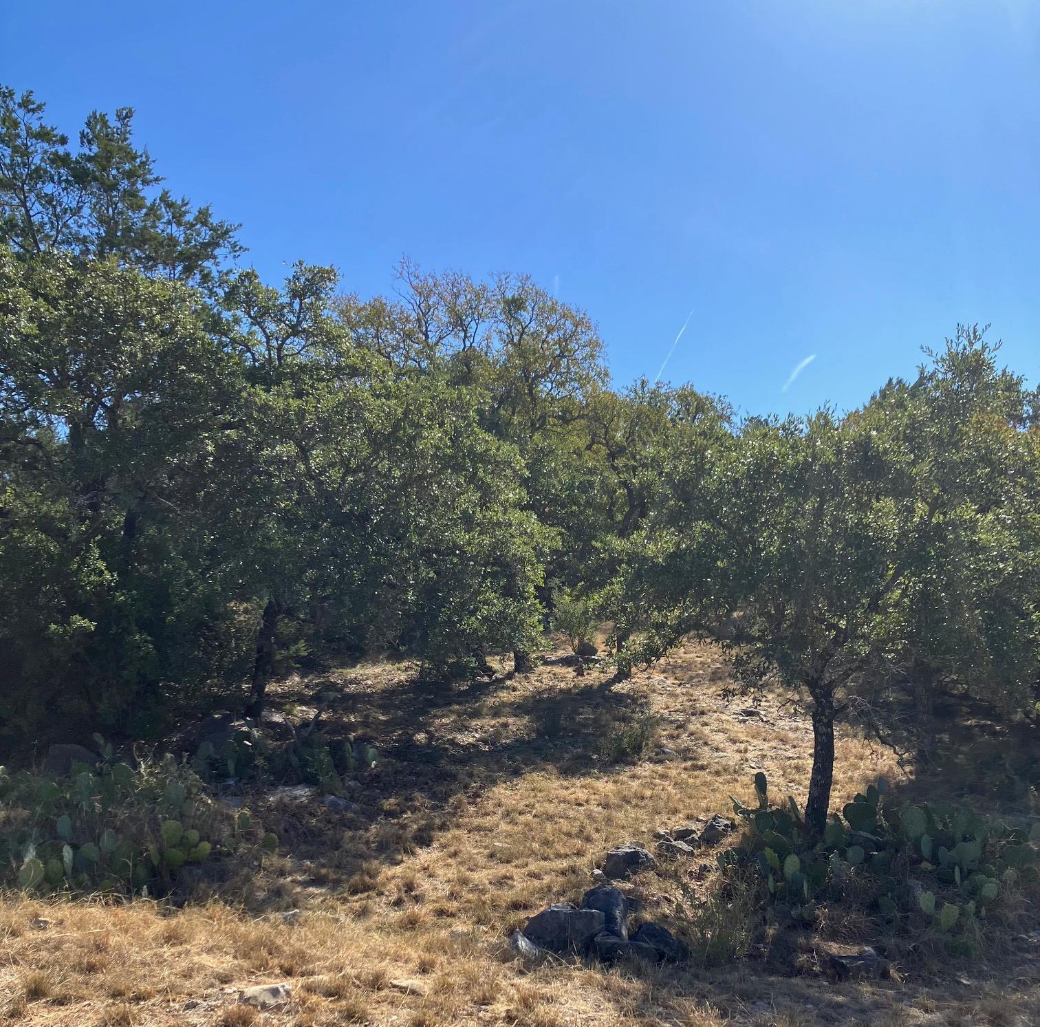 405 Yucca at Quick Draw None, Horseshoe Bay, TX 78657 — photo 1