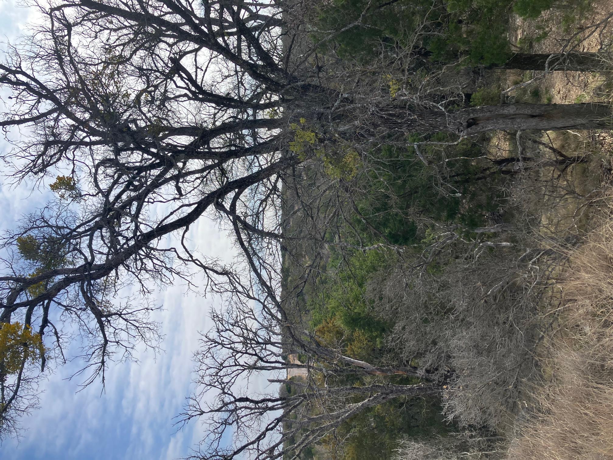 27125  HI Mesa None, Horseshoe Bay, TX 78657 — photo 1
