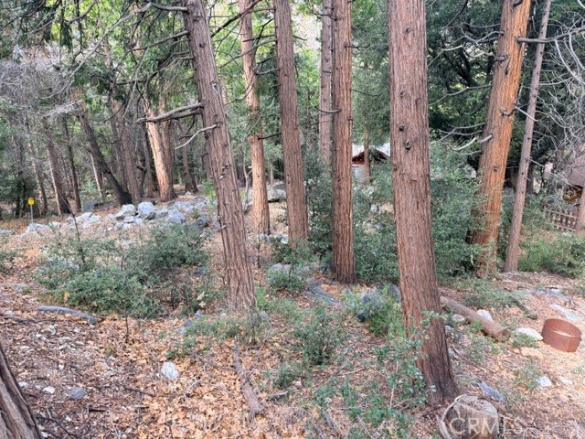 40904 Spruce, Forest Falls, CA 92339 — photo 1